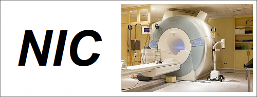 nic.png